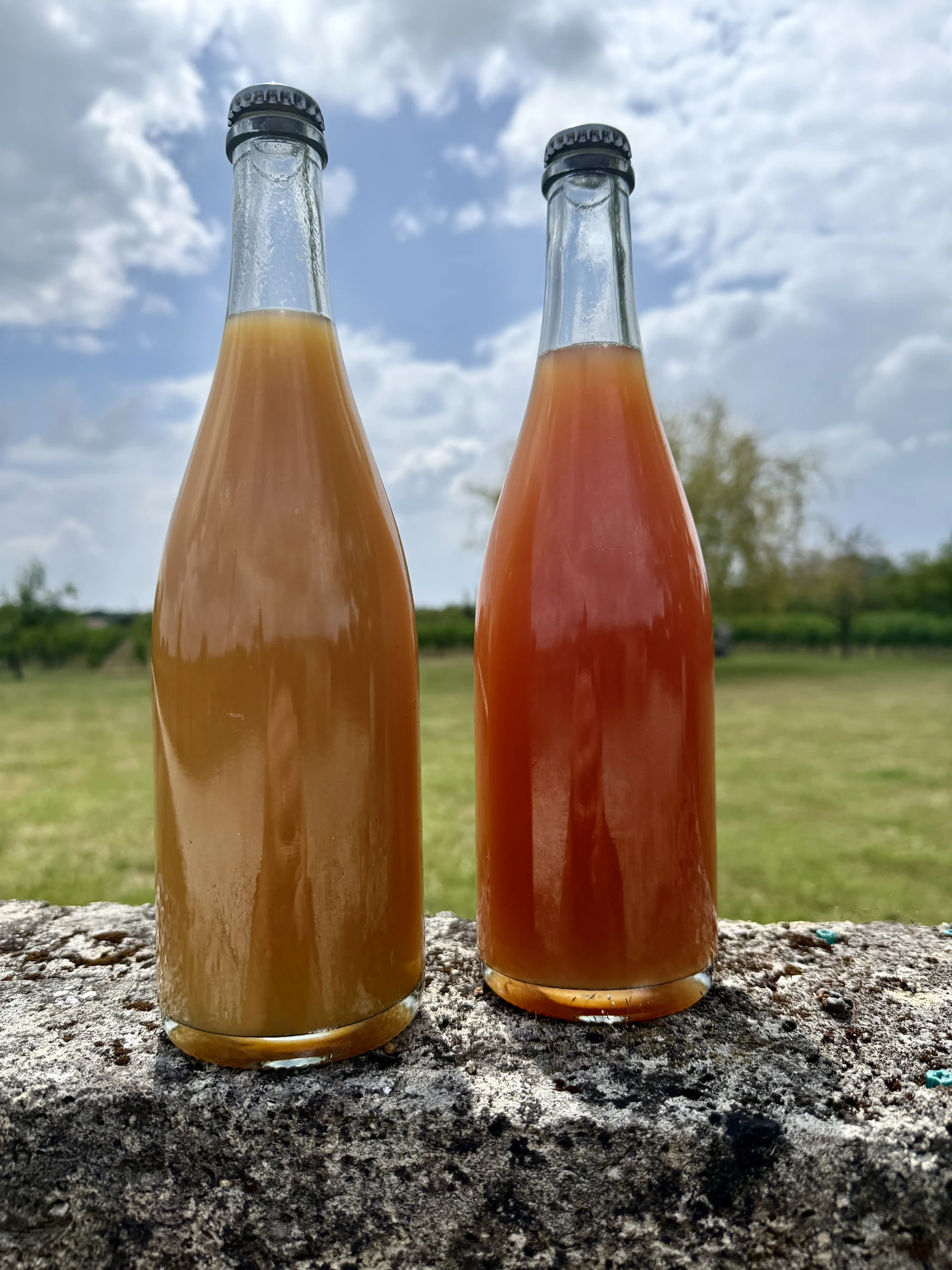 Small-batch cider and fruit releases