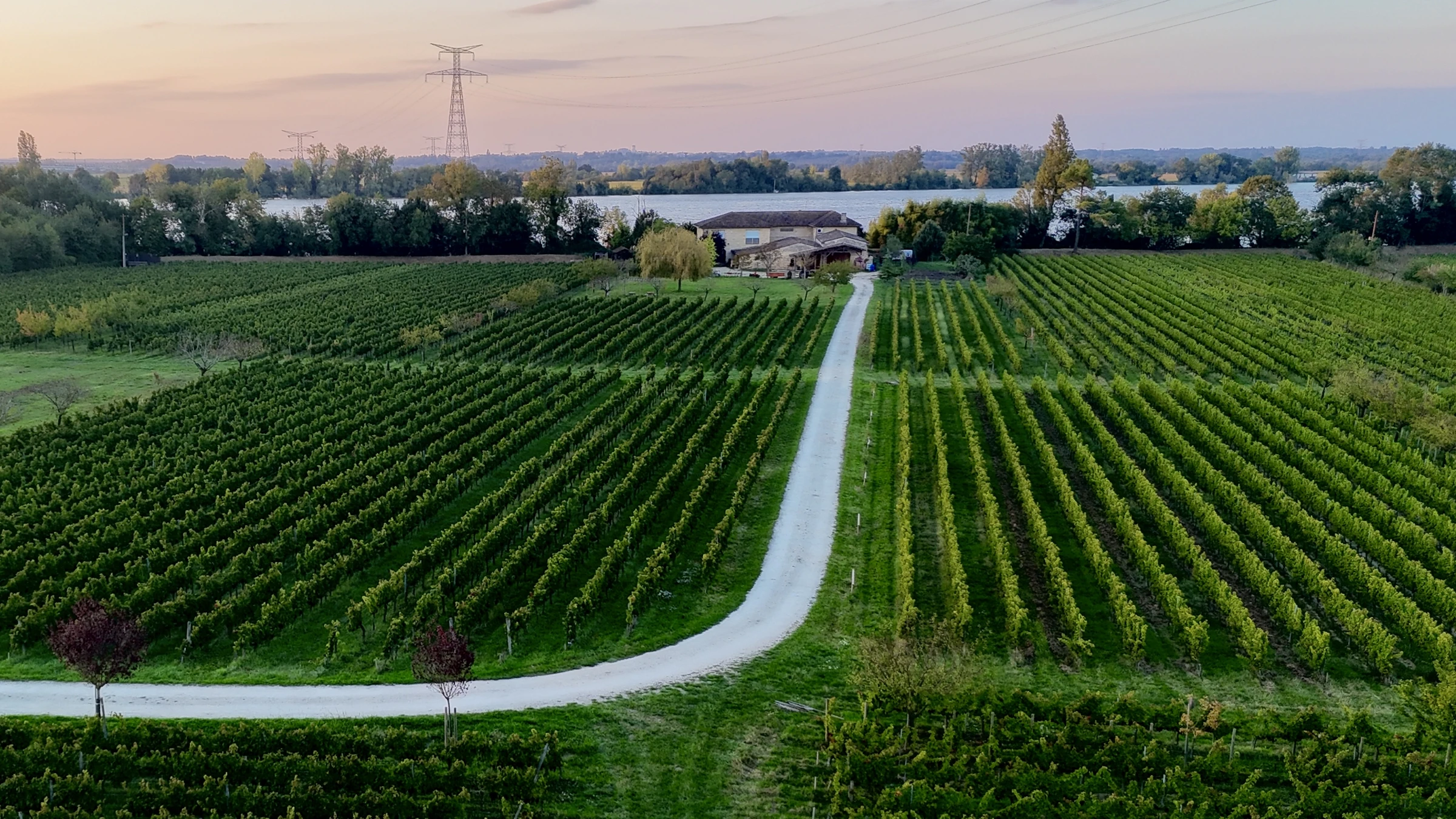 Vineyards and Château Shuette beside the Dordogne