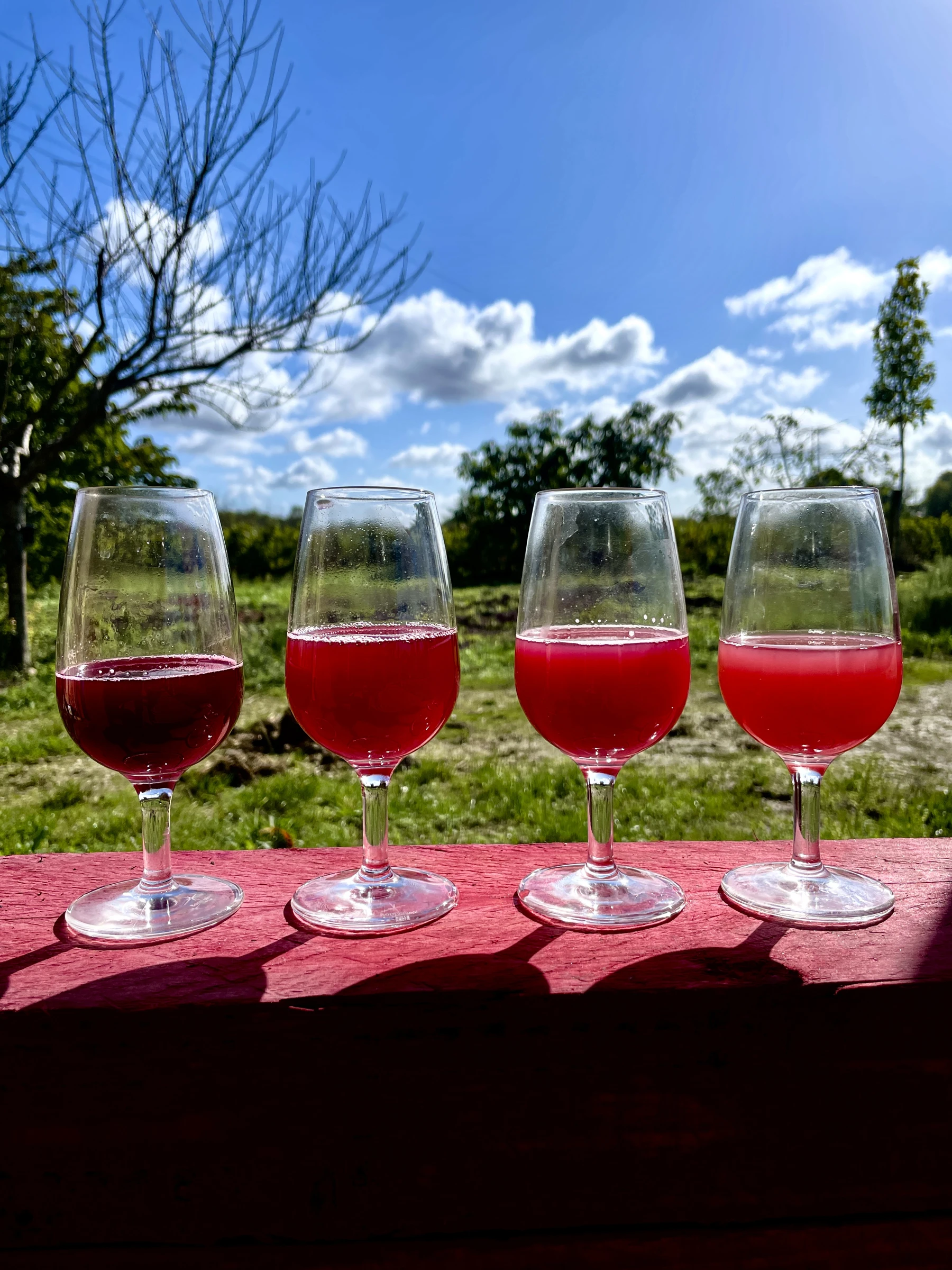 A tasting of wines at the farm