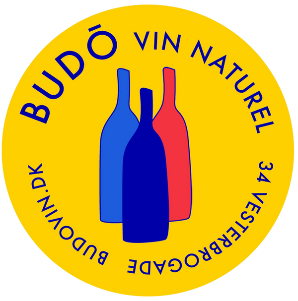 Budovin logo