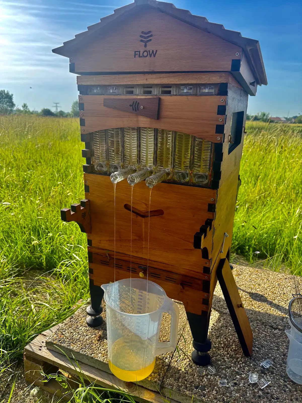 Honey flowing from a Flow Hive in Shuette’s meadow