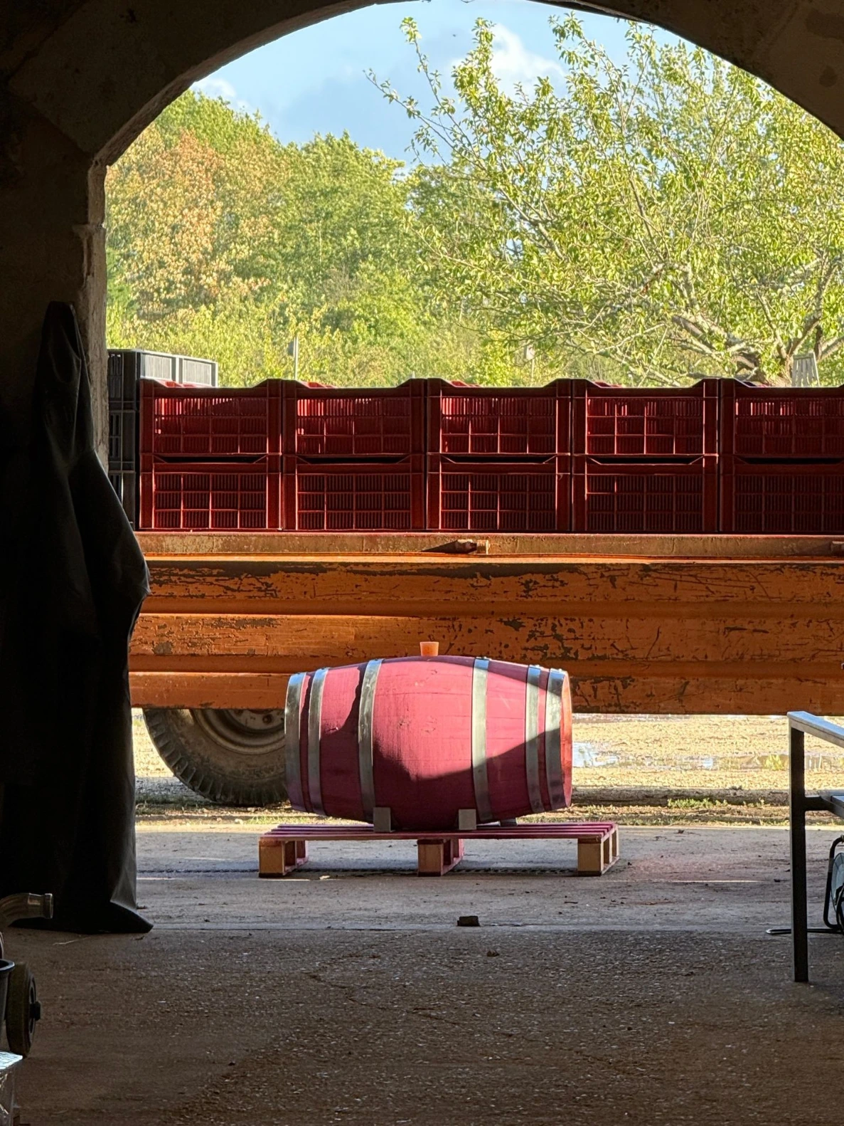 PINKY ageing in its pink chestnut barrel